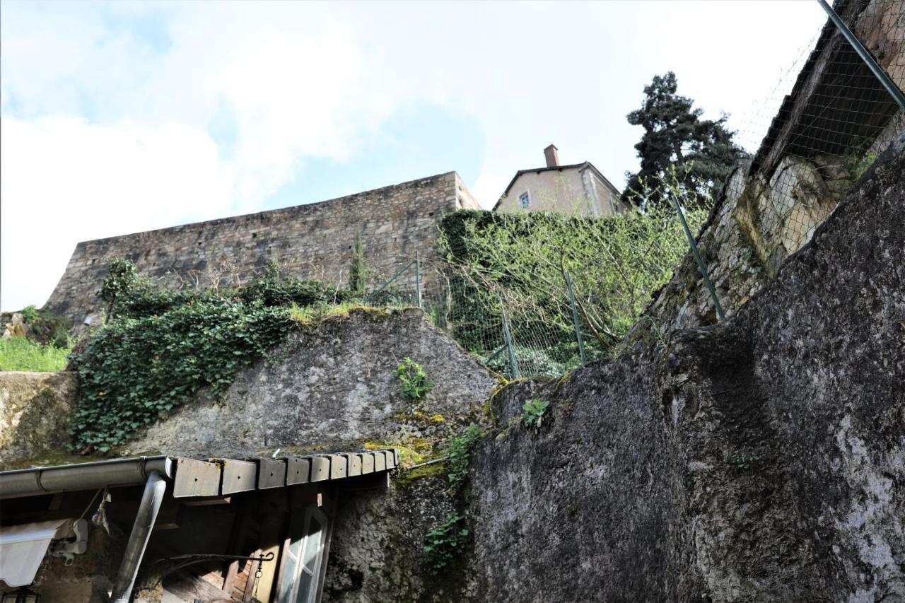 Maison Avec Patio Dans Le Centre Historique Villa Terrasson Eksteriør bilde